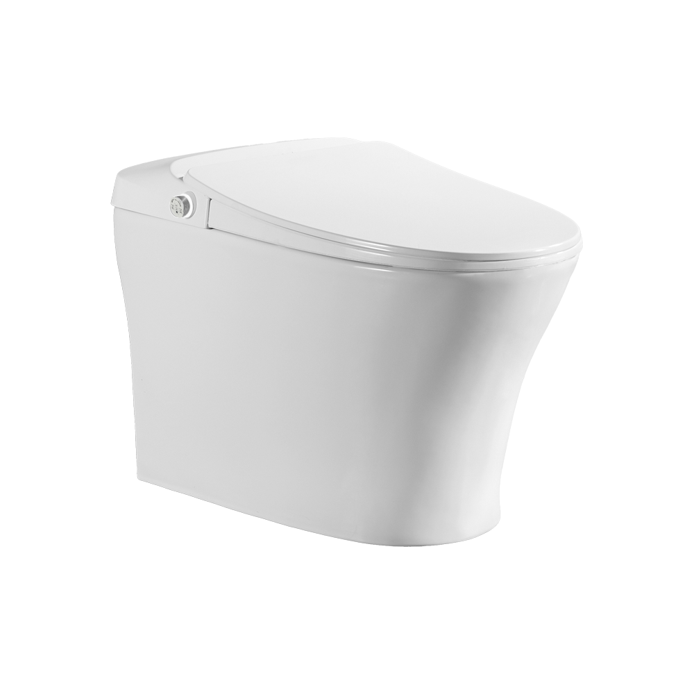 SMART CS-17 Tankless Toilet