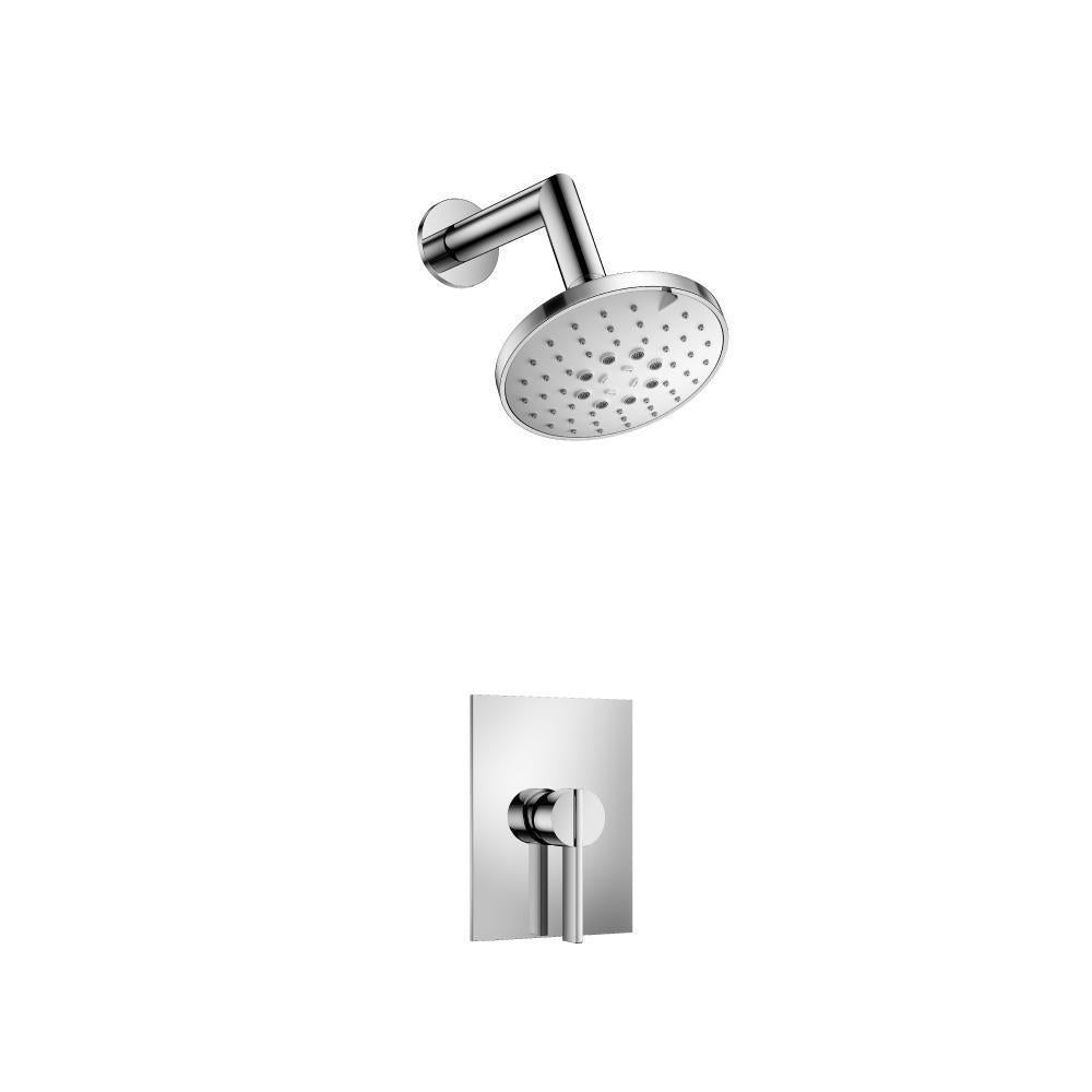 Single Output Shower Set With Brass Shower Head & Arm