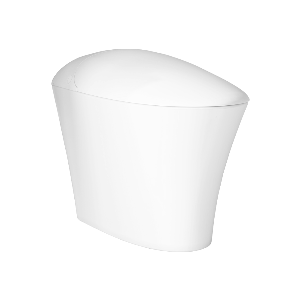 iWASH CS-22 Bidet Toilet